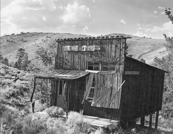 Old_shack_art_gallery