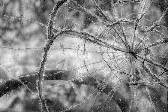 Dodge_windshield