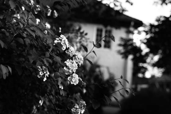 House_1