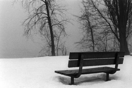 In_contemplation