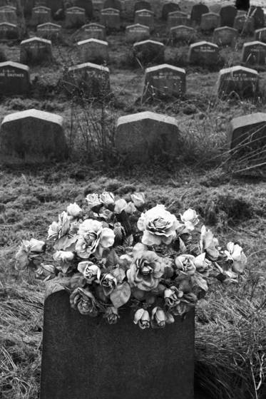 Sorrow