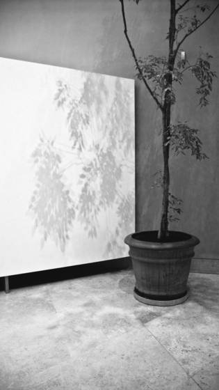 On_the_tissen_museum