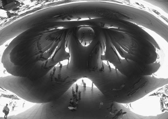 The_bean