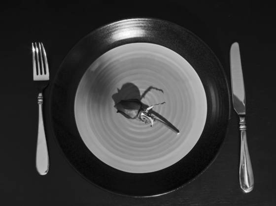 Dinner_romance