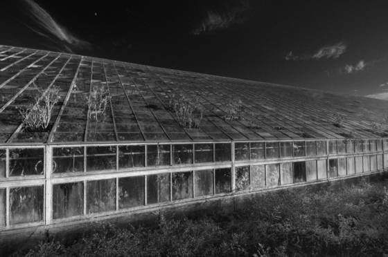 Greenhouse_2
