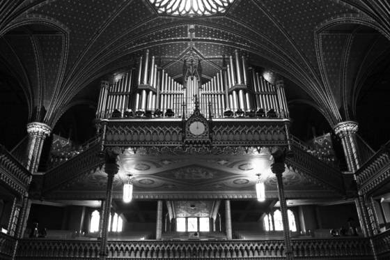 Organ_pipes