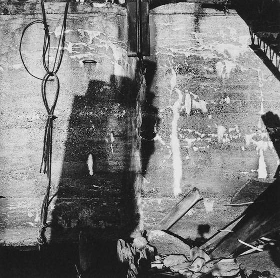 Buffalo_river_wall