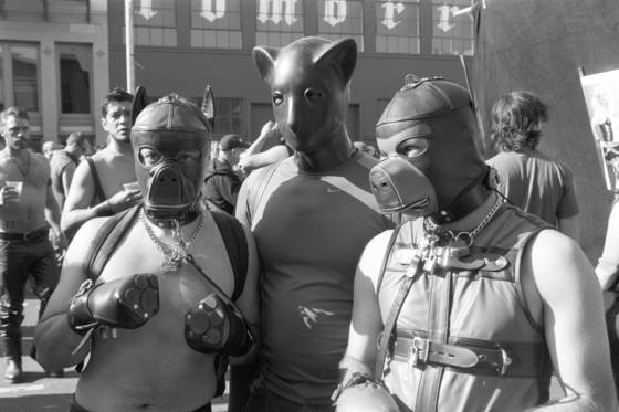 Folsom_street_farm