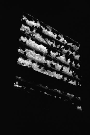 Untitled_4