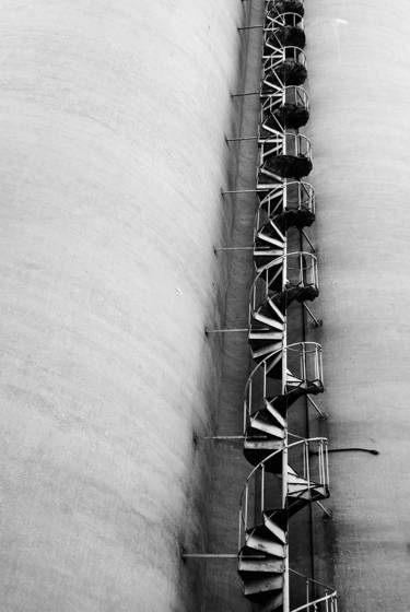 Industrial_genetics