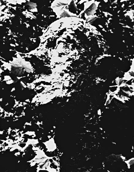 Untitled_1