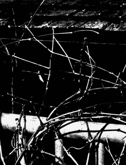 Untitled_3
