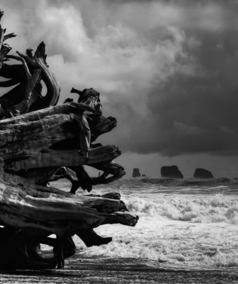The_storm_3