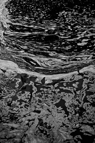 Somesville_pond_no_7