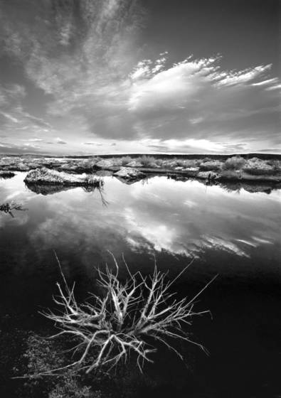 Mono_sunset