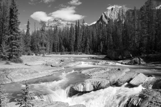 Kicking_horse_river