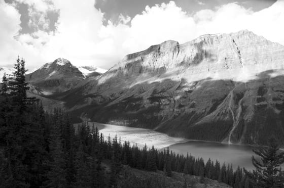 Peyto_lake_overlook