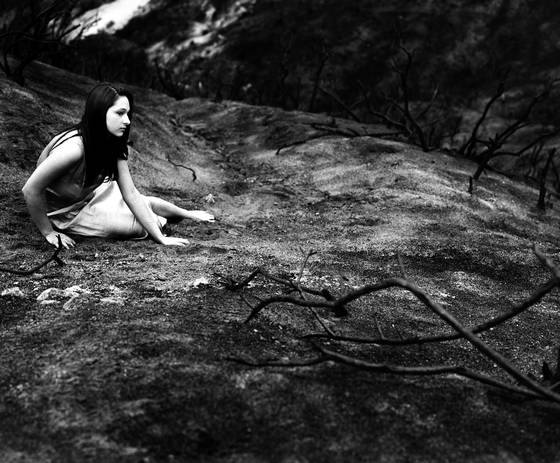 Desolation