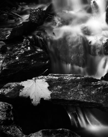 Little_waterfall_behind_a_rock