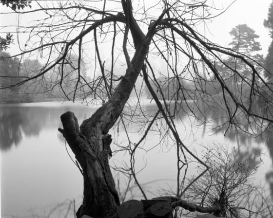 Stow_lake_1