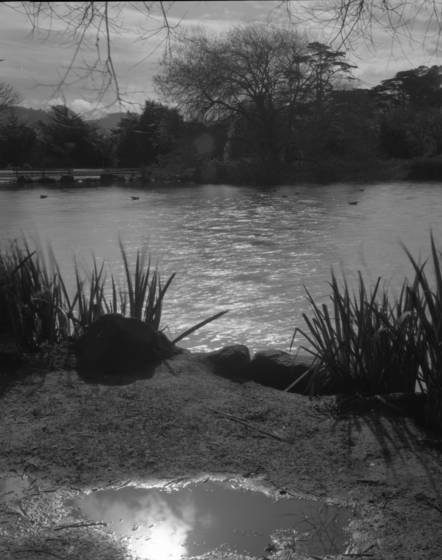 Stow_lake_5