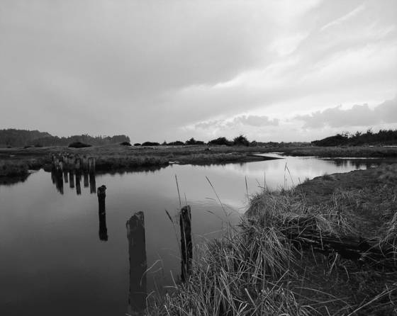 Salt_creek_estuary