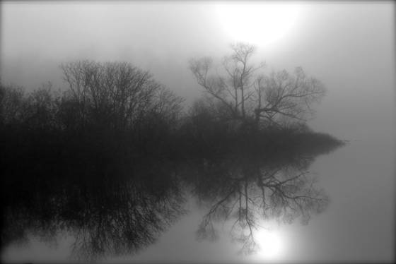Pundeson_8