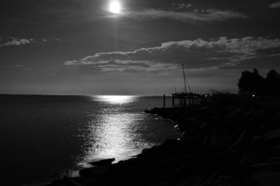 Moonlight_serenity_3