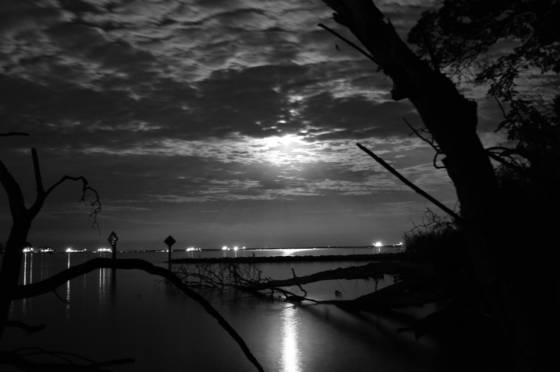Moonlight_serenity_7