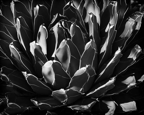 Untitled_1