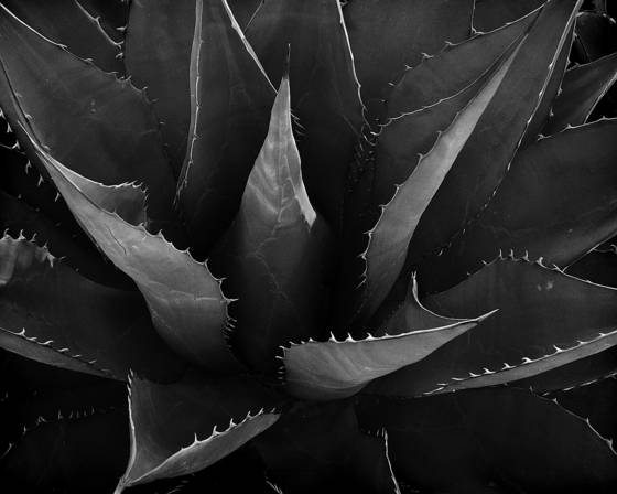 Untitled_2