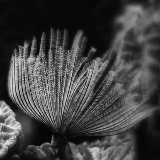 Untiteld_3
