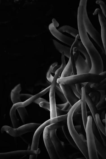 Untitled_4