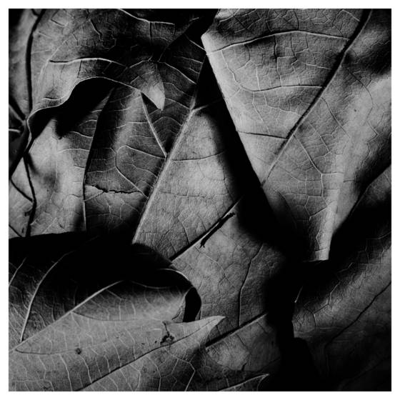 After_the_fall___23