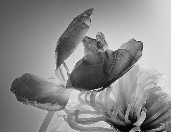 Untitled_5