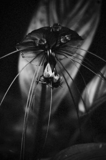 Untitled_8
