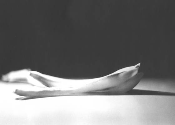 Platano
