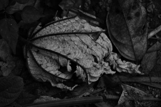 Untitled_4