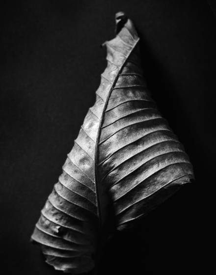Untitled_1