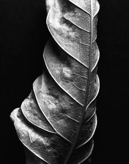 Untitled_2