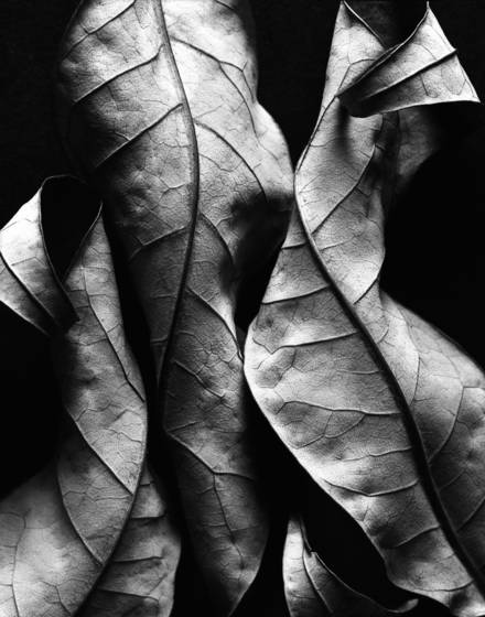 Untitled_3
