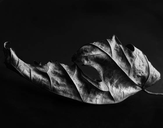 Untitled_5