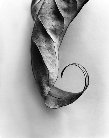Untitled_6