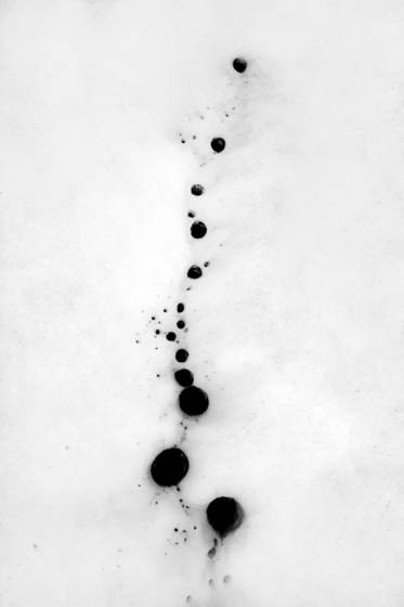 Rocks_on_ice