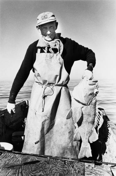 Rock_cod_fisherman