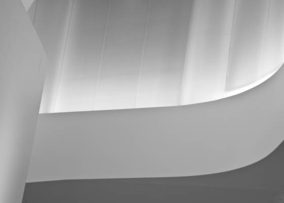 Bloch_party