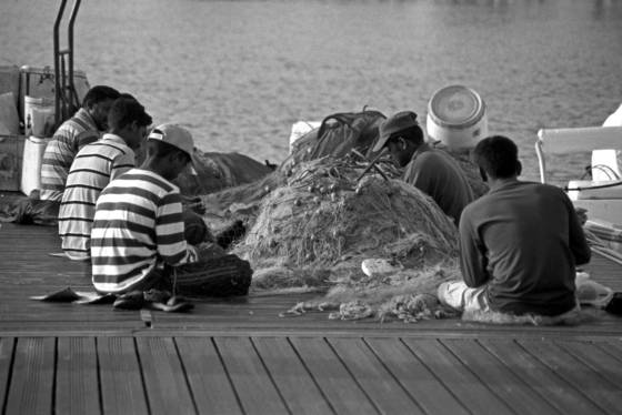 Fish_market_8
