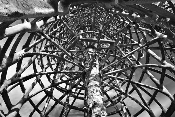 Entanglements
