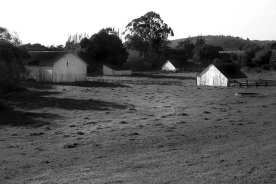 Outbuildings