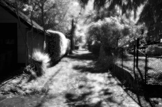Ne_portland_alley